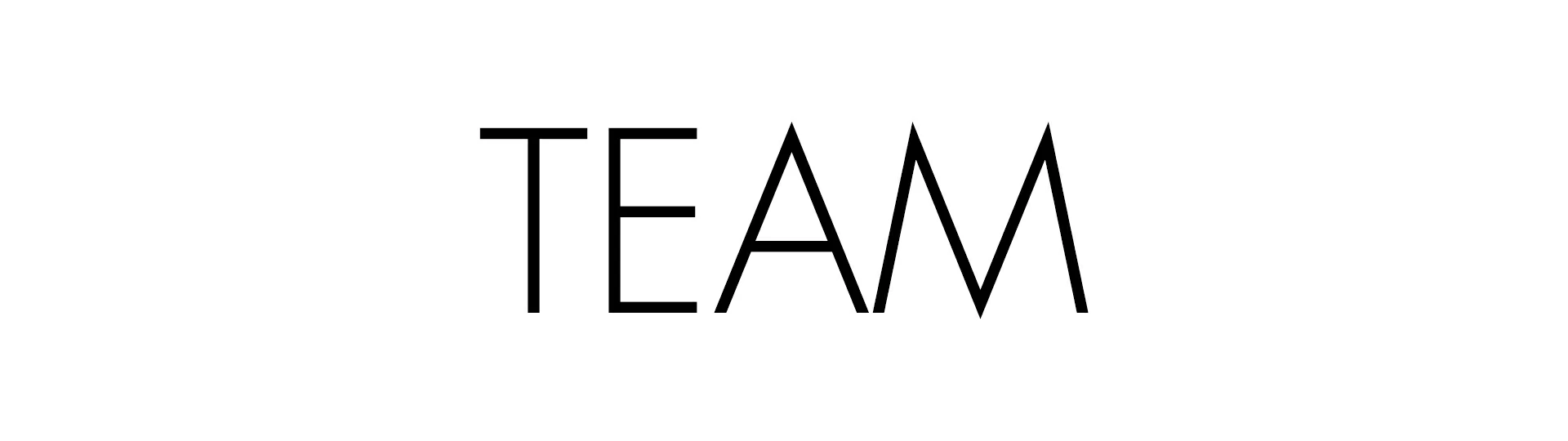 Banner TEAM BOGA